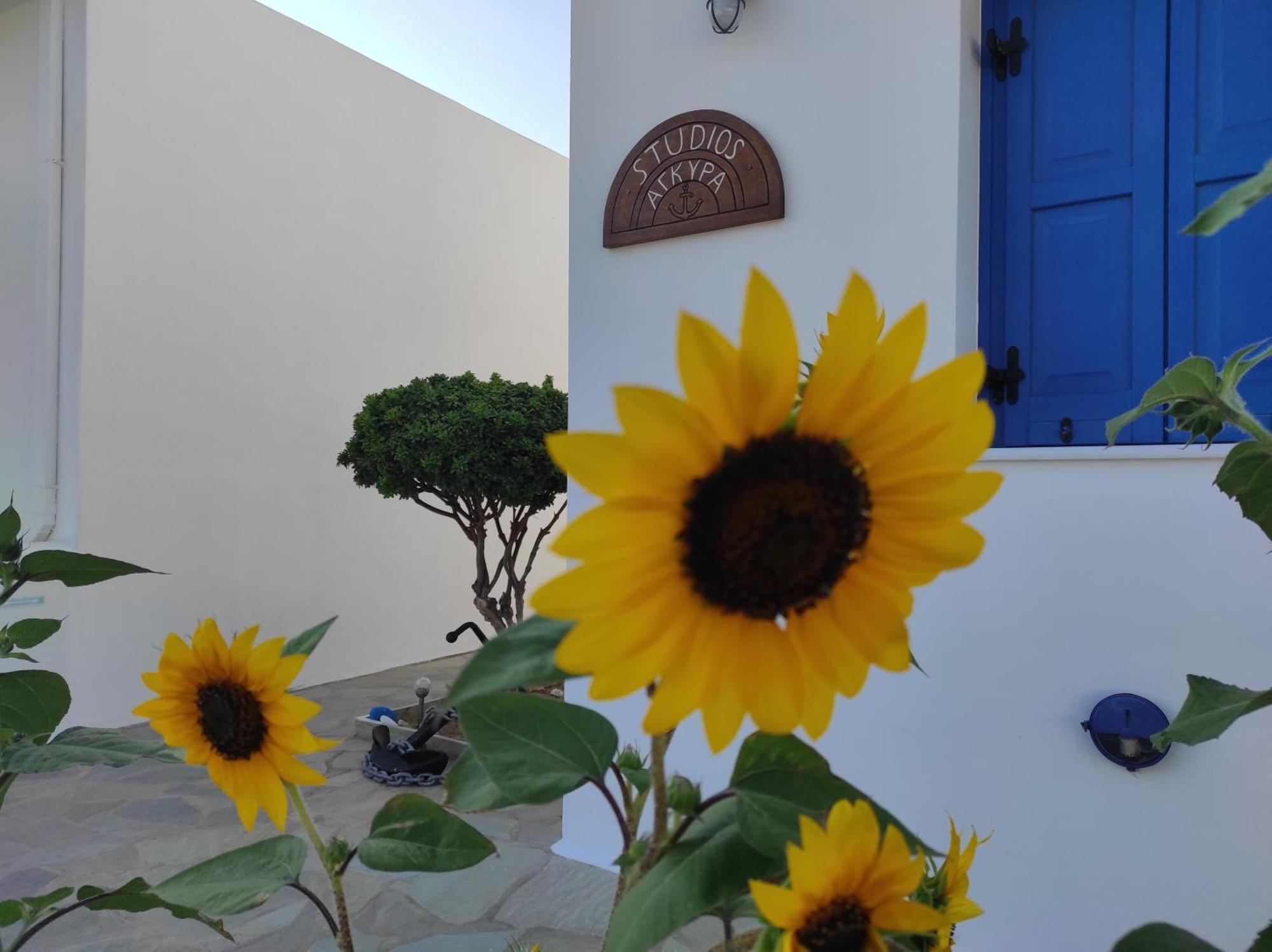 Appartement αγκυρα